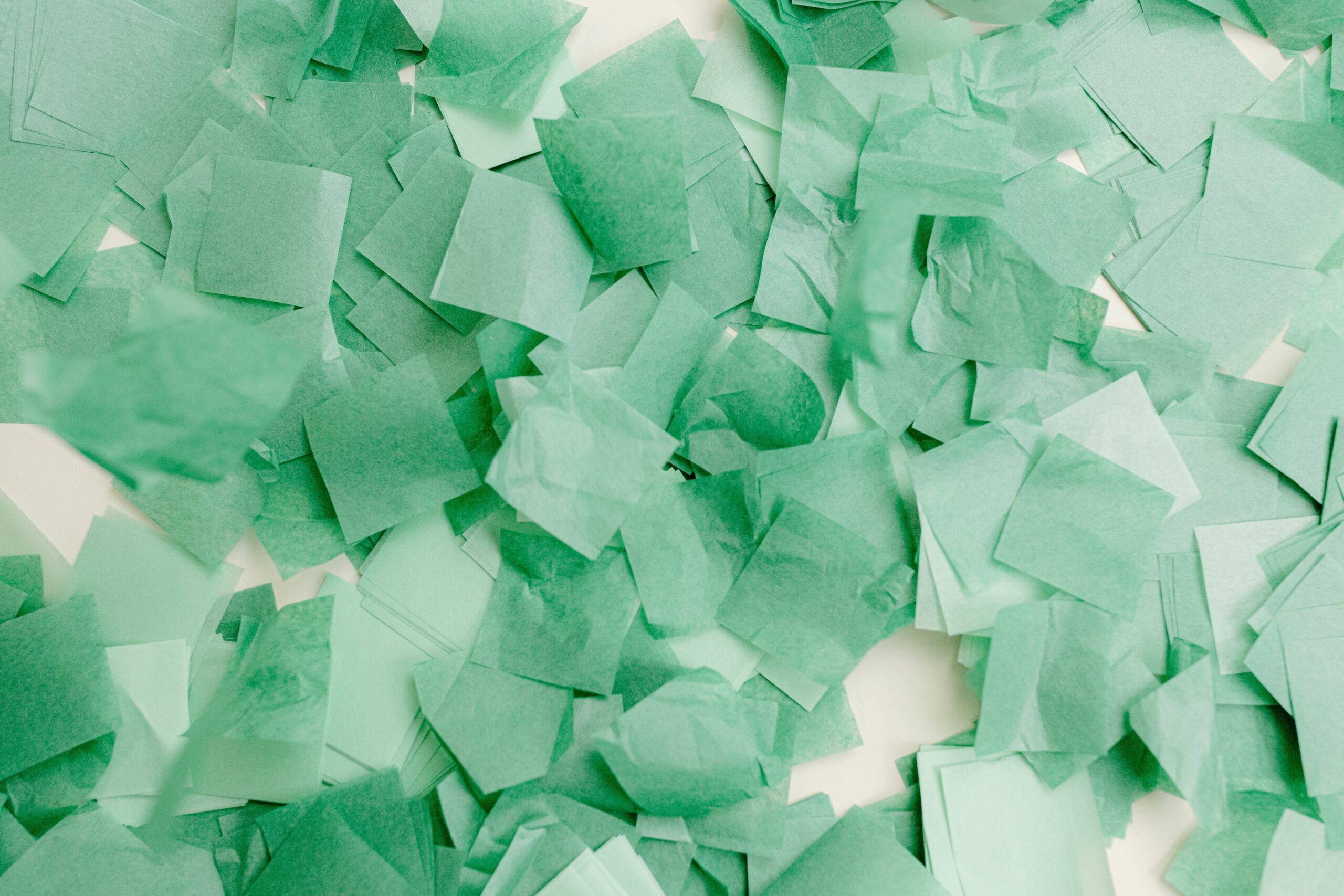 Tiempo de coccion judias esmeralda en olla a presión