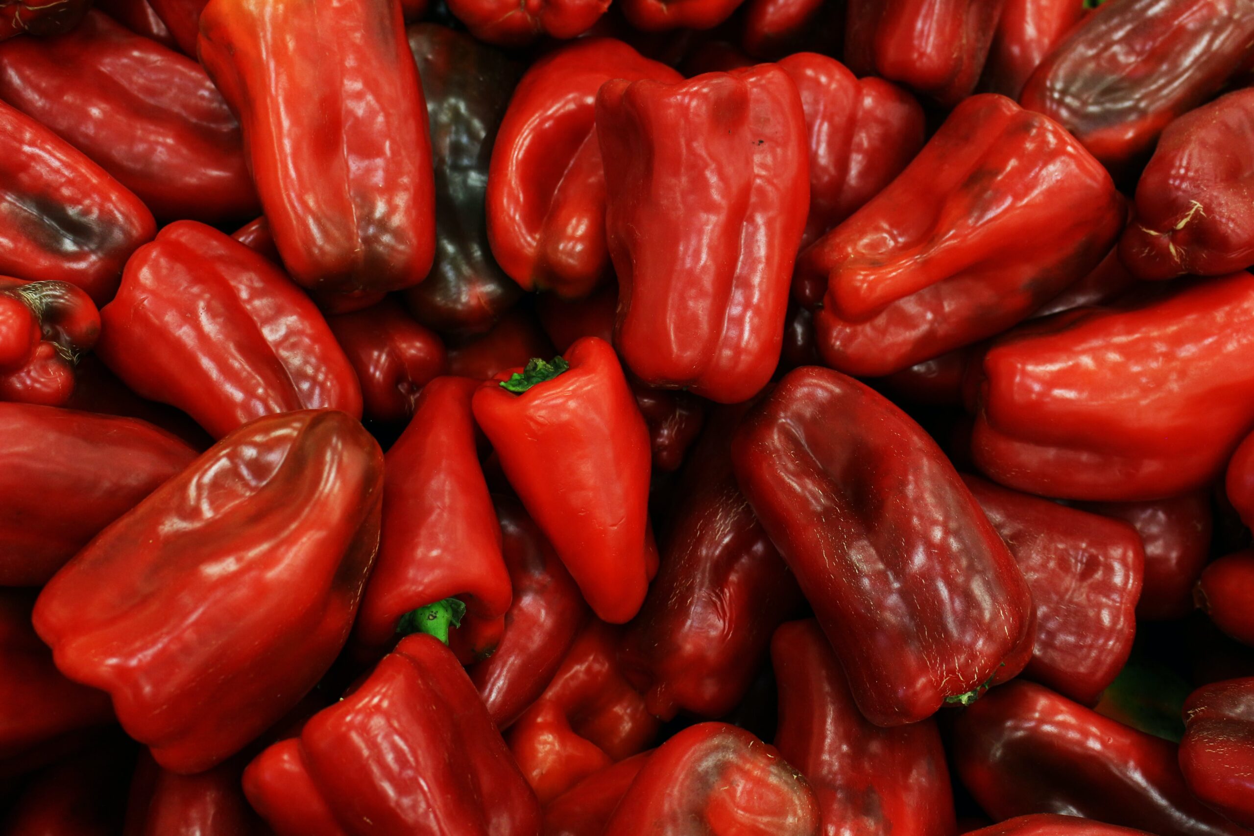 Tiempo de cocción pimientos rojos horno: guía completa
