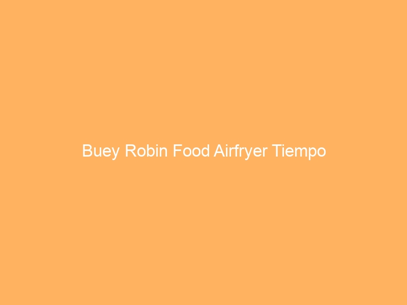 Buey Robin Food Airfryer Tiempo