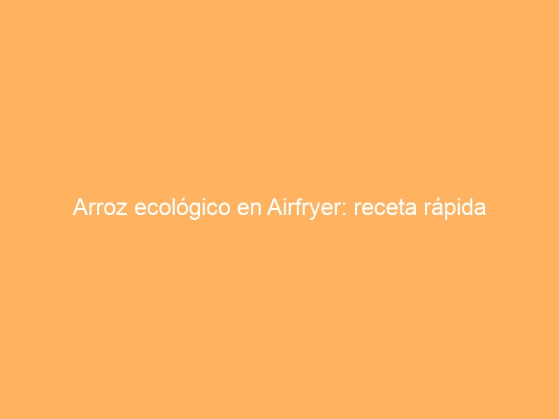 Arroz ecológico en Airfryer: receta rápida