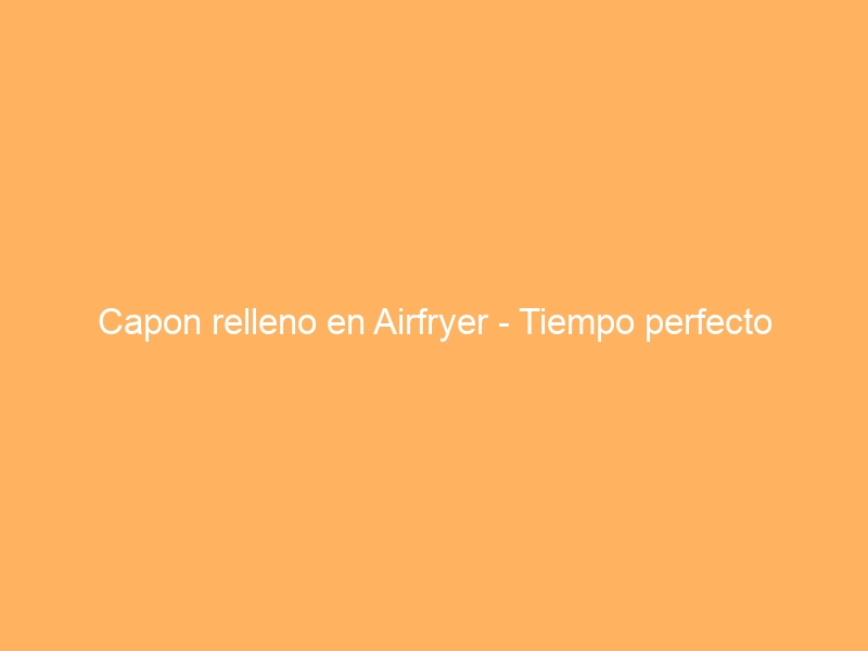 Capon relleno en Airfryer – Tiempo perfecto