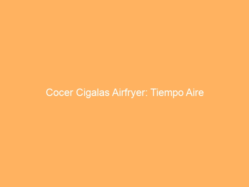 Cocer Cigalas Airfryer: Tiempo Aire