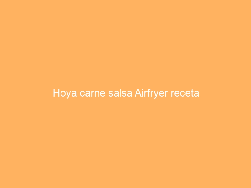 Hoya carne salsa Airfryer receta