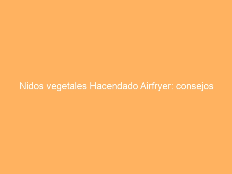 Nidos vegetales Hacendado Airfryer: consejos