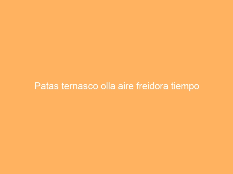 Patas ternasco olla aire freidora tiempo