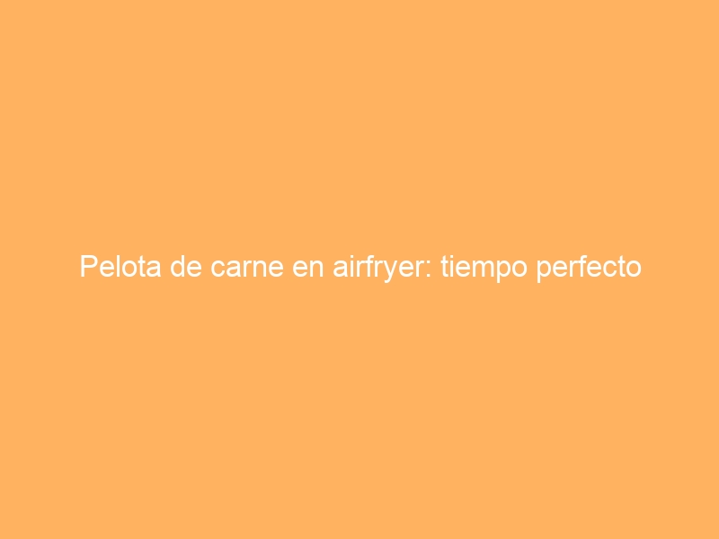 Pelota de carne en airfryer: tiempo perfecto