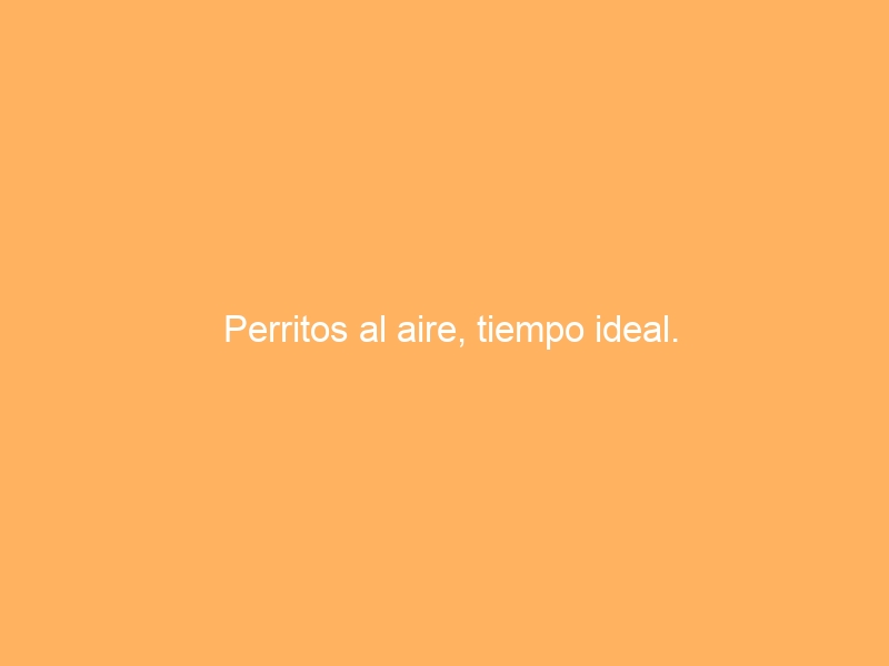 Perritos al aire, tiempo ideal.