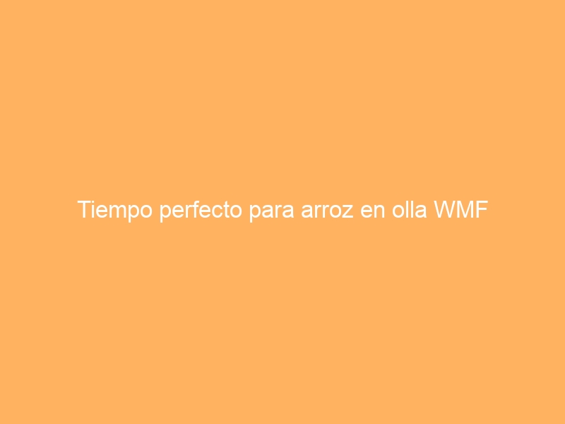 Tiempo perfecto para arroz en olla WMF