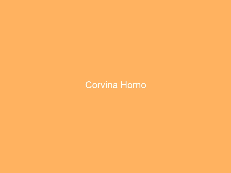 Corvina Horno