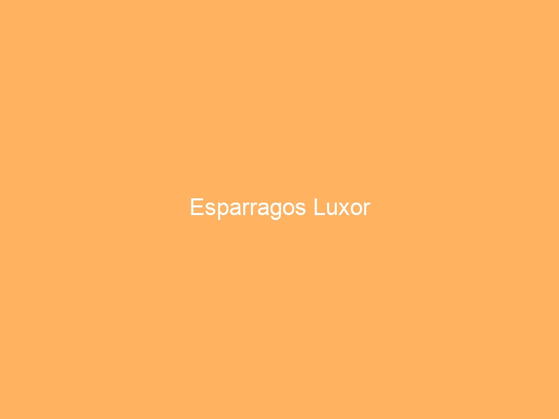 Esparragos Luxor