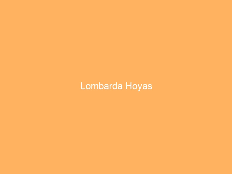 Lombarda Hoyas