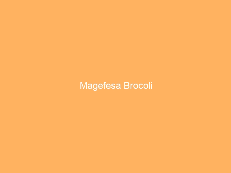 Magefesa Brocoli