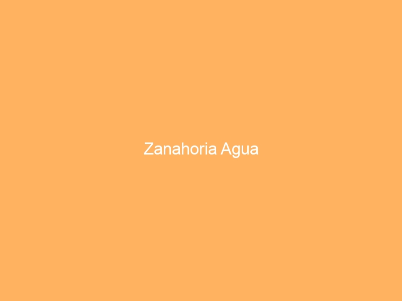 Zanahoria Agua