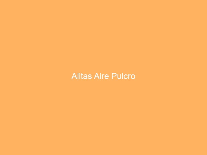 Alitas Aire Pulcro