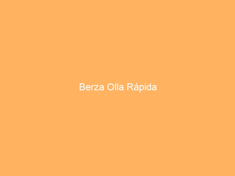 Berza Olla Rápida