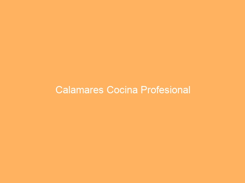 Calamares Cocina Profesional