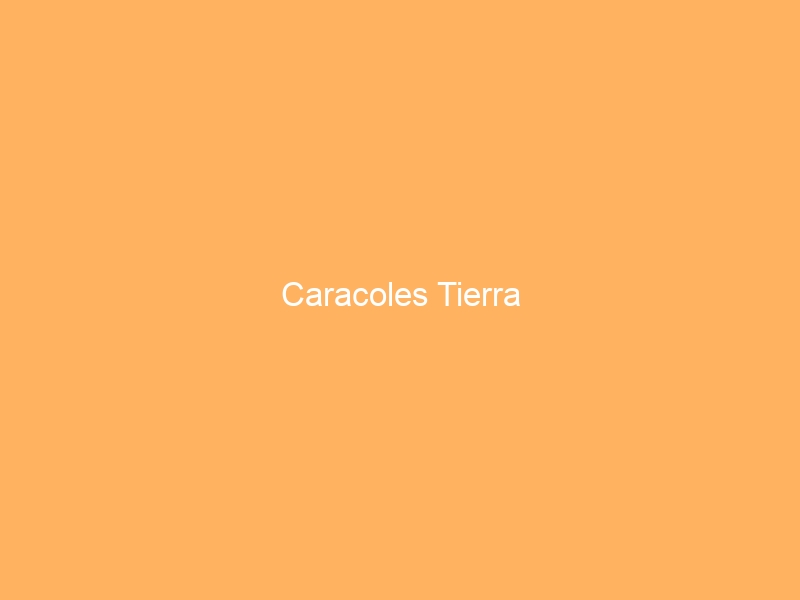 Caracoles Tierra