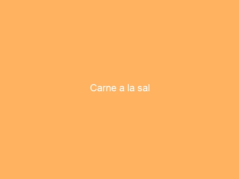 Carne a la sal