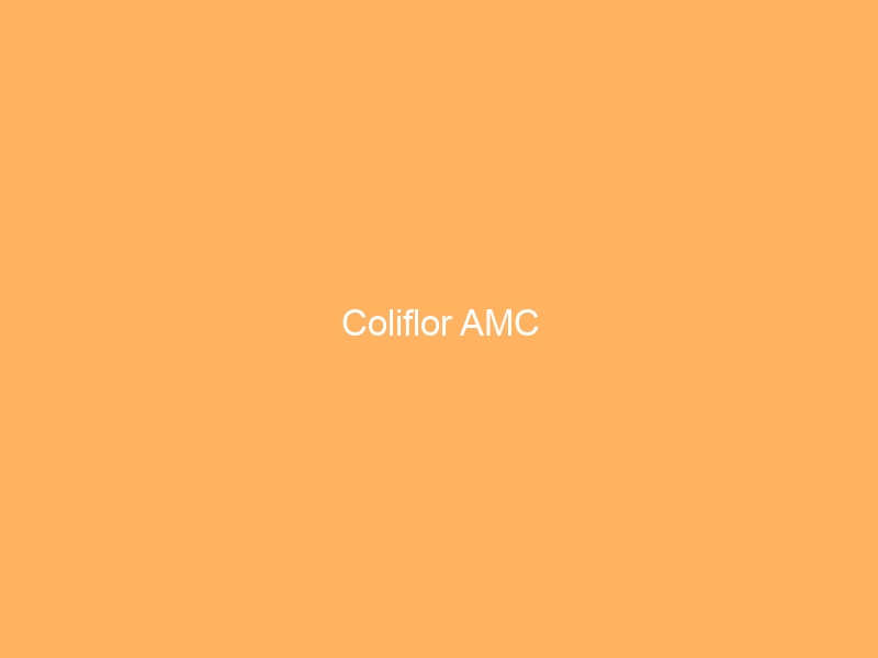 Coliflor AMC