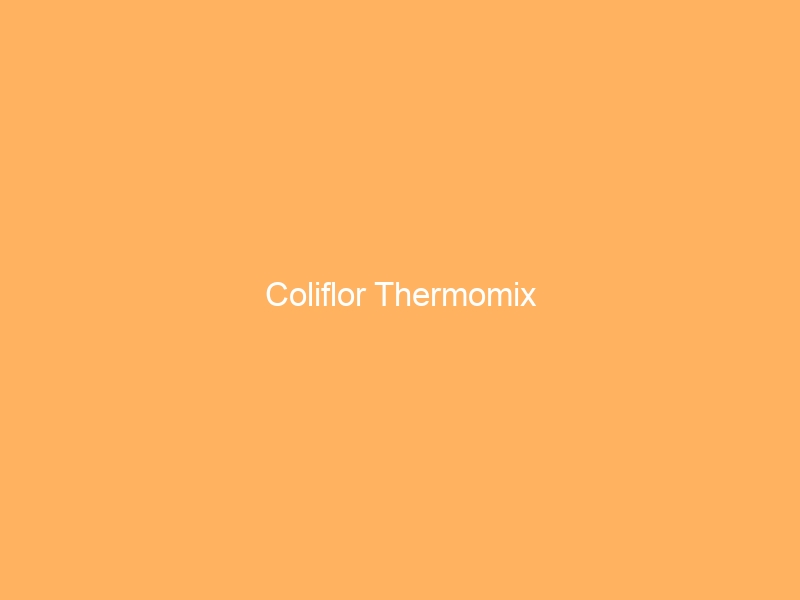 Coliflor Thermomix