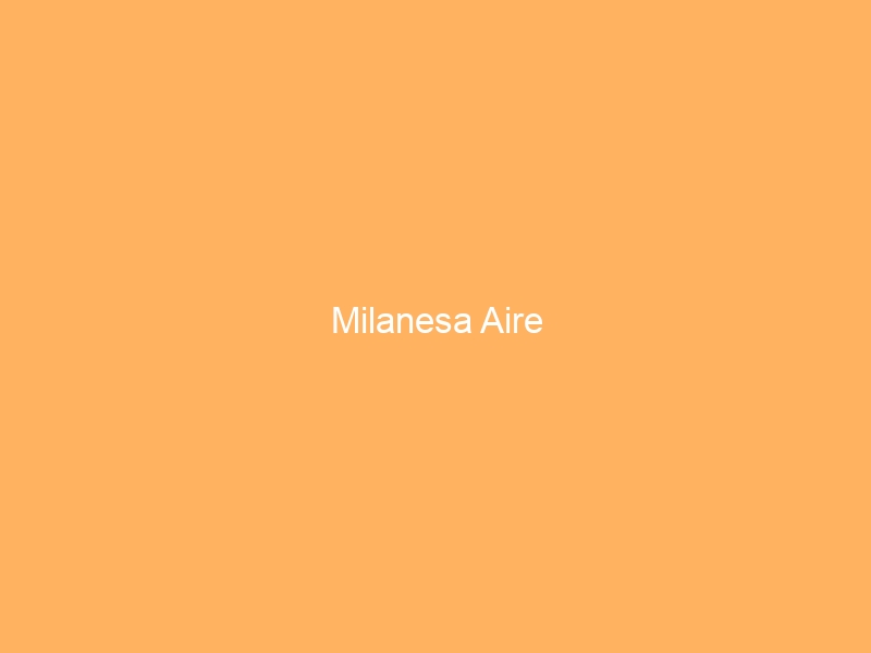 Milanesa Aire