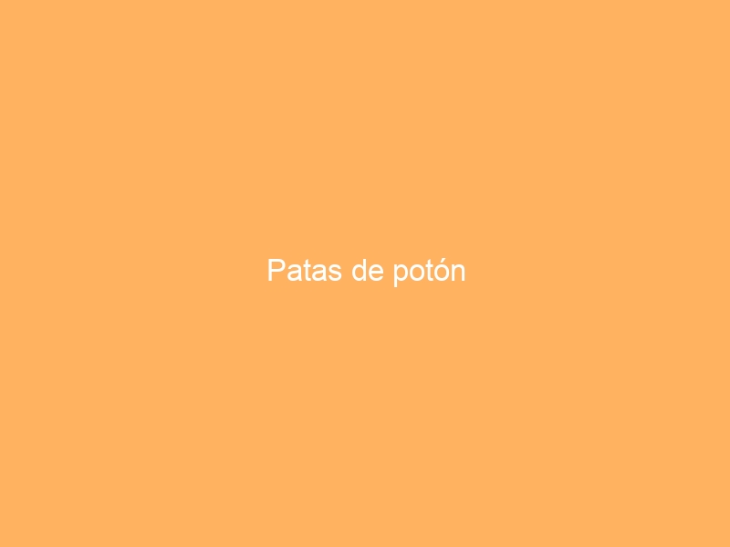 Patas de potón
