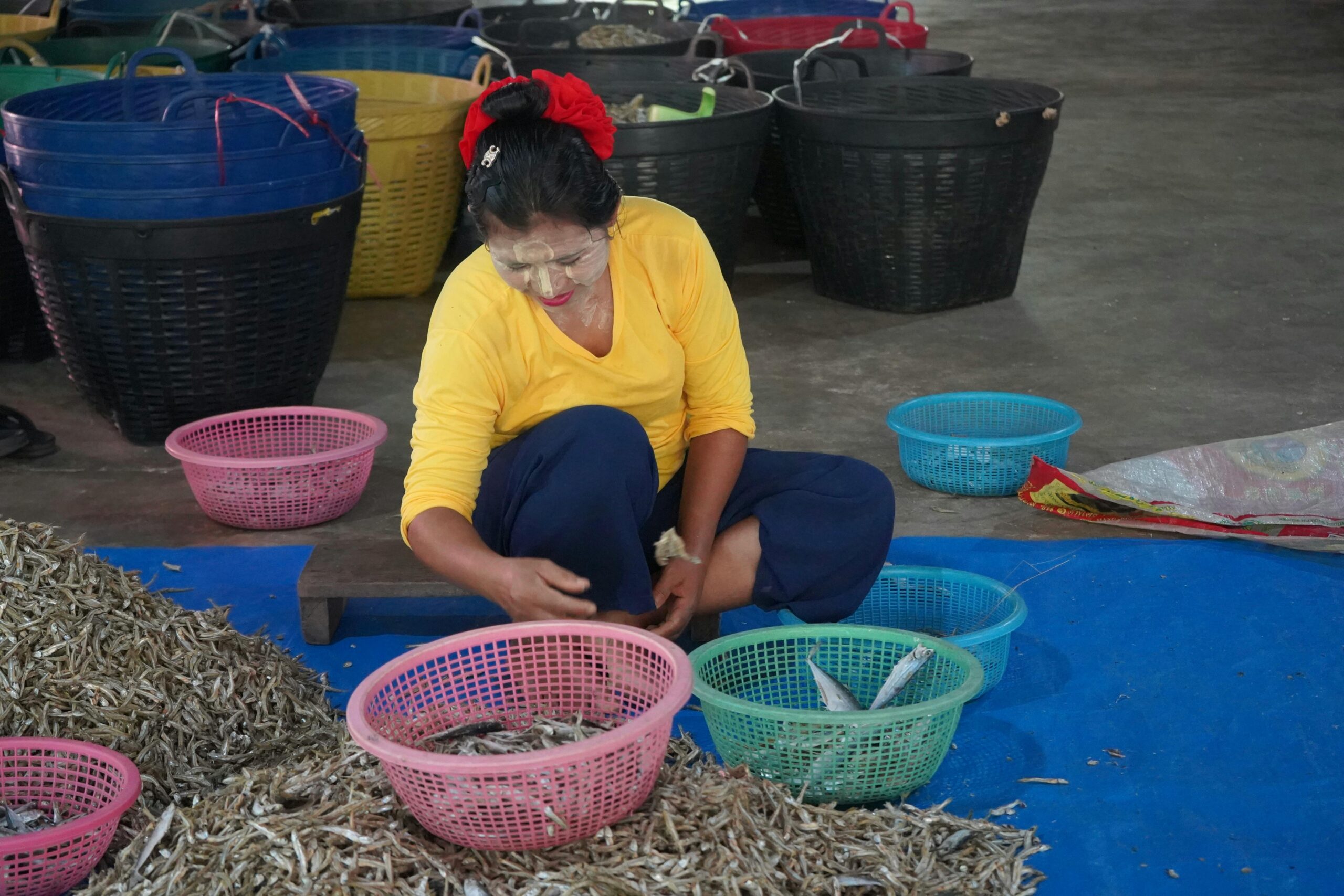 Descongelar Pescado