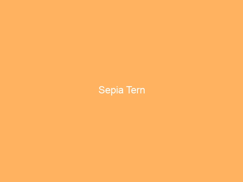 Sepia Tern