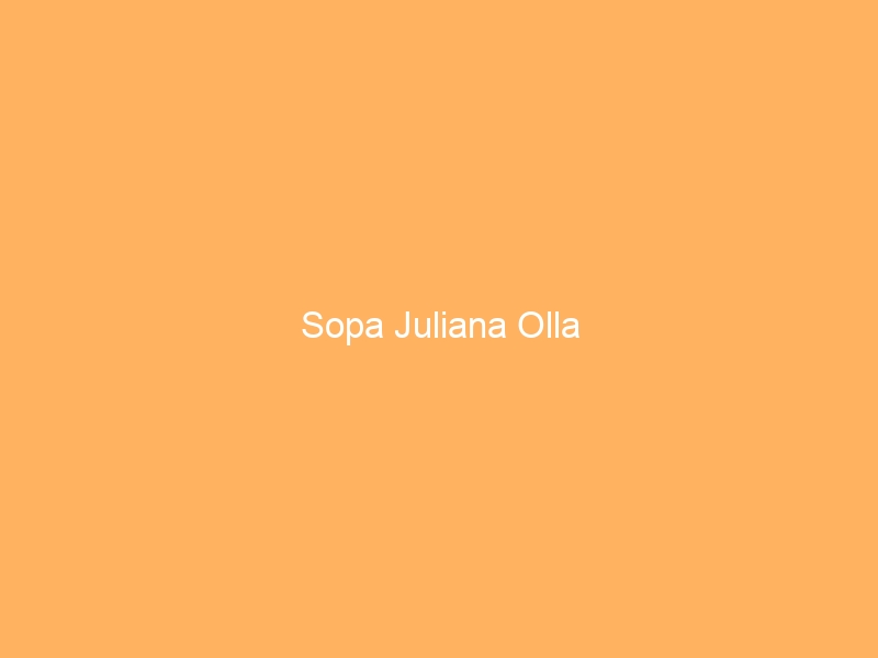 Sopa Juliana Olla